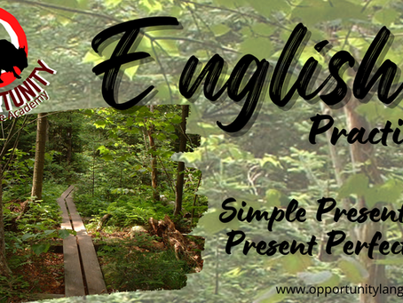 English Practice: Simple Present & Present Perfect 2